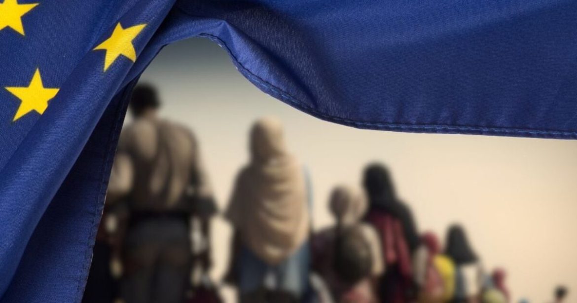 European Survival: Why the Only Thing Left is to Fight against Illegal Immigration and Organized Crime