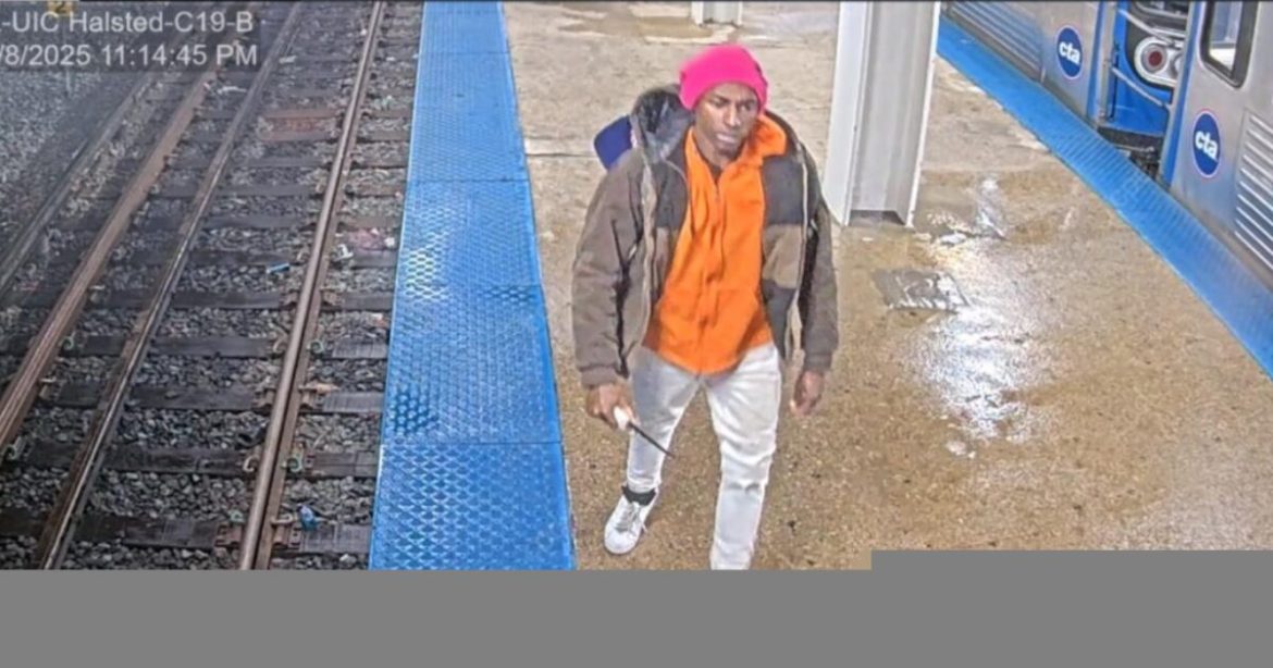 HORROR: Crazed Man Stabs Woman in the Chest in Unprovoked Attack at Chicago Train Station