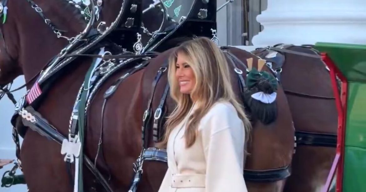 First Lady Melania Trump Dazzles in Winter White as She Receives White House Christmas Tree (VIDEO)
