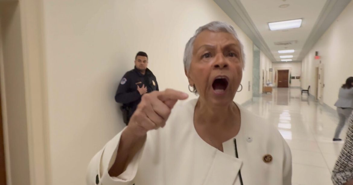 Another Democrat Lawmaker Announces Retirement After Pelosi Calls it Quits: New Jersey Rep. Bonnie Watson Coleman OUT For 2026