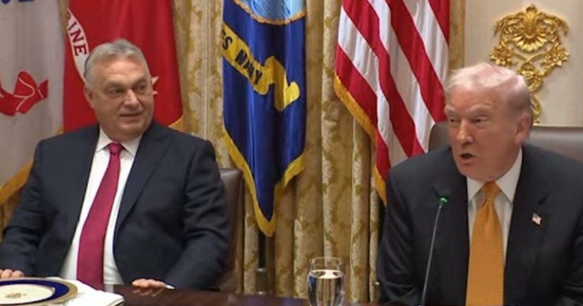 WATCH: “Fake News!” – Trump SLAMS NBC Reporter Lying About Thanksgiving Dinner Cost – “The Democrats are Good at a Few Things: Cheating on Elections and Conning People with Facts that aren’t True”