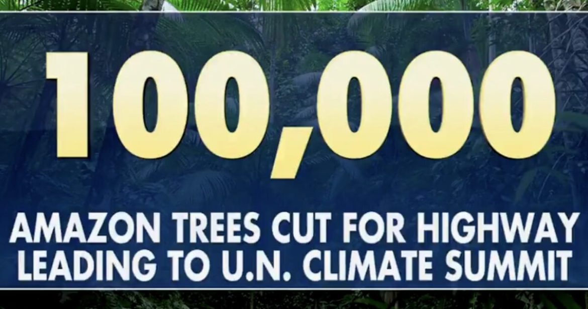 (VIDEO) Climate Hoaxers Cut Down 100,000 Amazon Rainforest Trees to Build Highway to UN Climate Summit – Trump Responds!