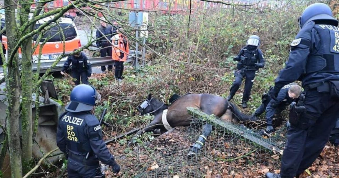 25,000 Violent Antifa Attack AfD Youth Group Convention in Giessen, Germany – Punching Journalists, Smashing Car Windows and Injuring a Horse!