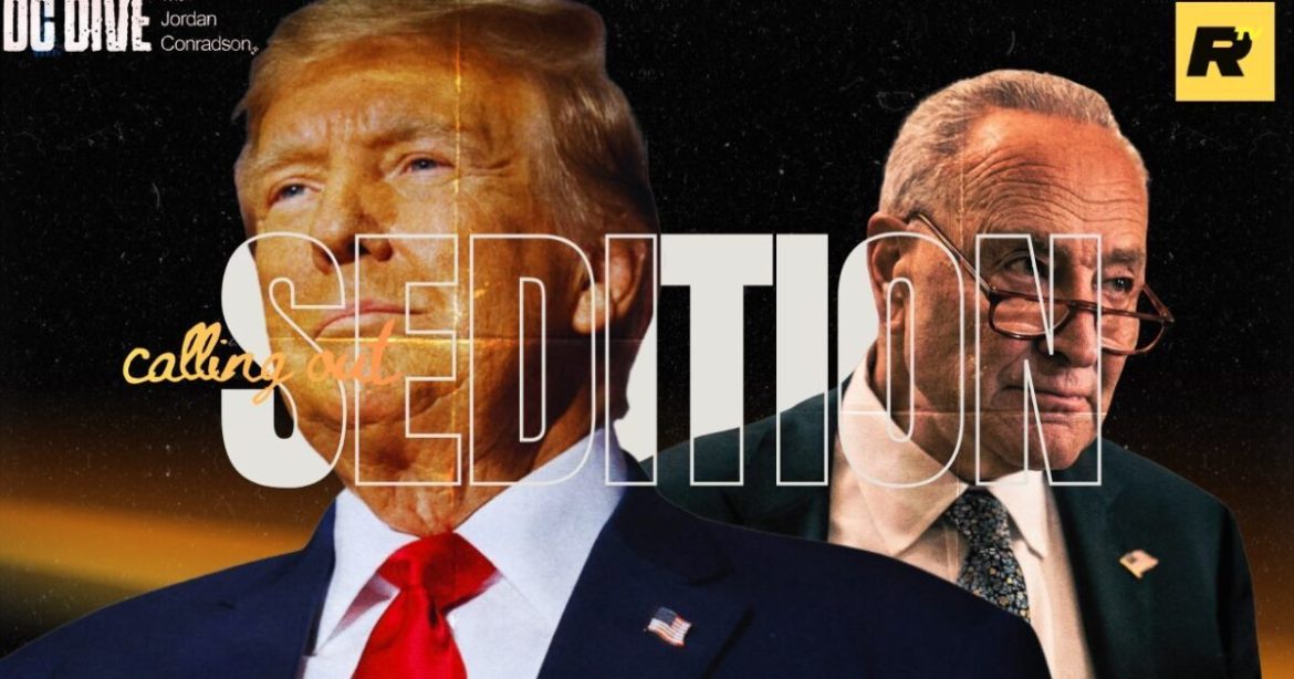 WATCH: Trump CALLS OUT Dems for ‘Seditious’ Behavior | DC Dive