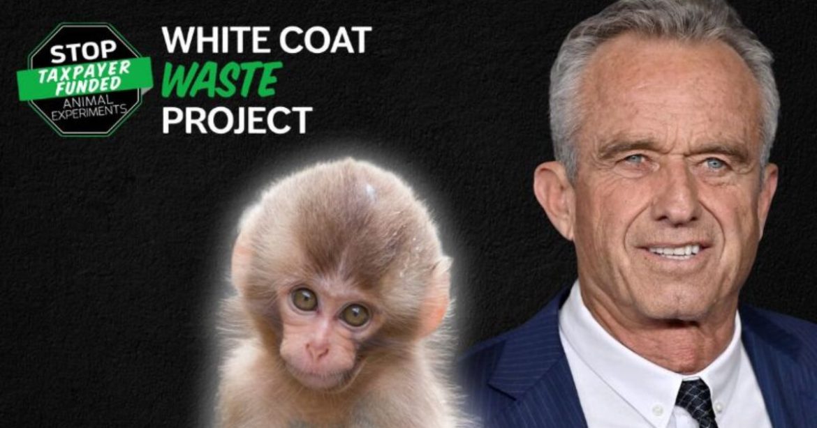 HUGE WHITE COAT WASTE WIN: Trump Administration and RFK Jr. Deliver, CDC Completely Shuts Down Taxpayer-Funded Monkey Labs
