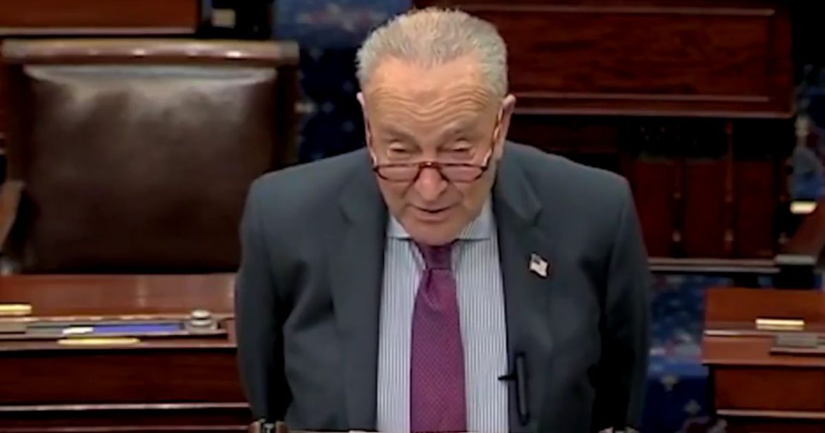 Schumer Sinks to Lowest Approval Rating of All US Political Leaders