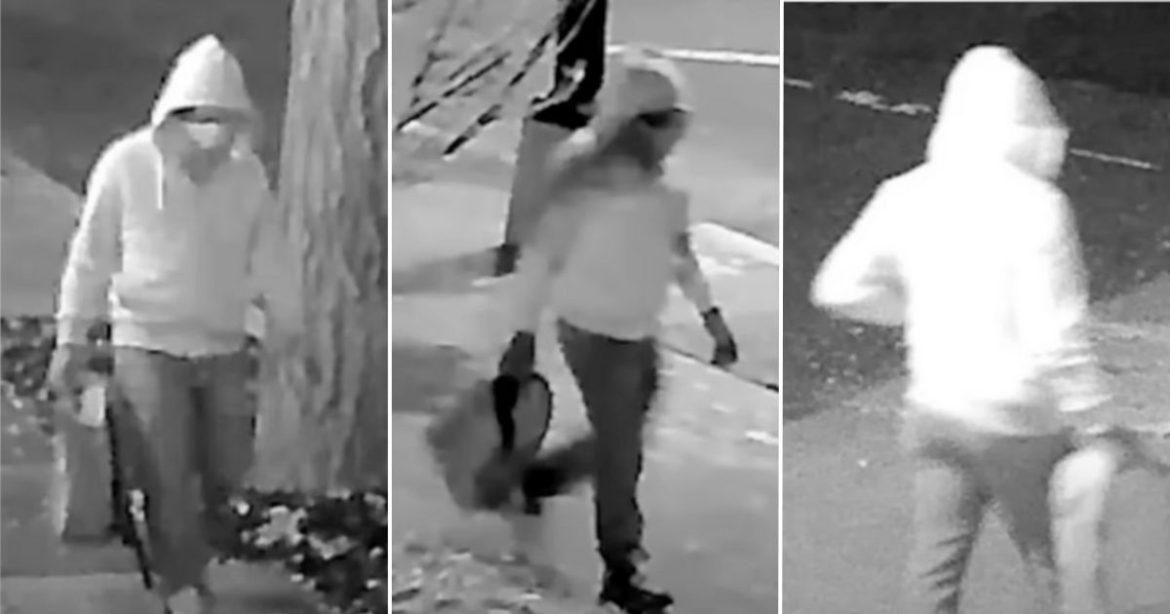 Cara Castronuova Covers the Pipe Bomb Hearing – Is Judge Amir Ali Tag-Teaming with Prosecution?