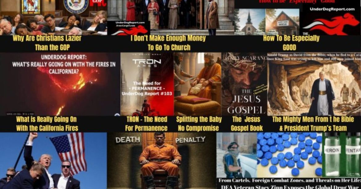 UNDERDOG REPORT #112 – 2025 YEAR IN REVIEW