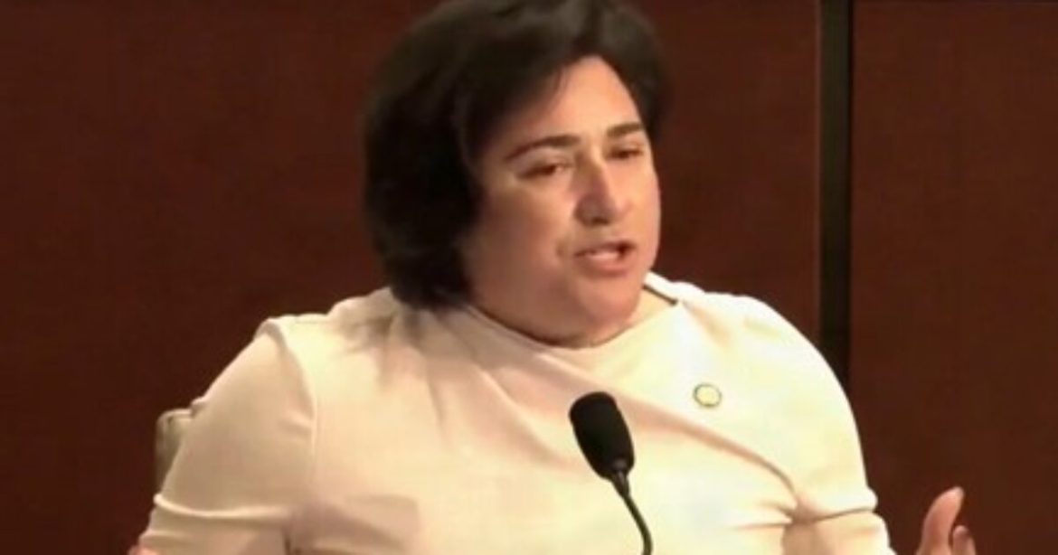 Democrat Congresswoman Launches an OUTRAGEOUS Smear Against White Men During Hearing on Somali Fraud (VIDEO)