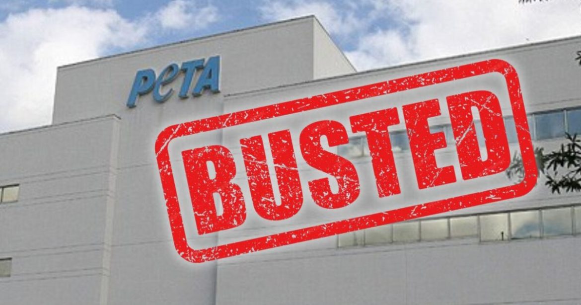 PETA Busted Again: Leftist Animal Rights Group Stealth Edits Bogus Anti-Trump Smear About Russian Cat Experiments After Being Exposed by Gateway Pundit and White Coat Waste