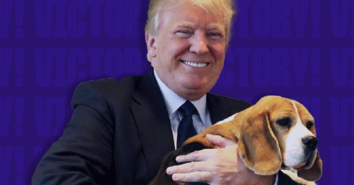 BREAKING: NIH Set to Ban New Funding for Cruel Dog and Kitten Labs Following Intense Pressure from White Coat Waste