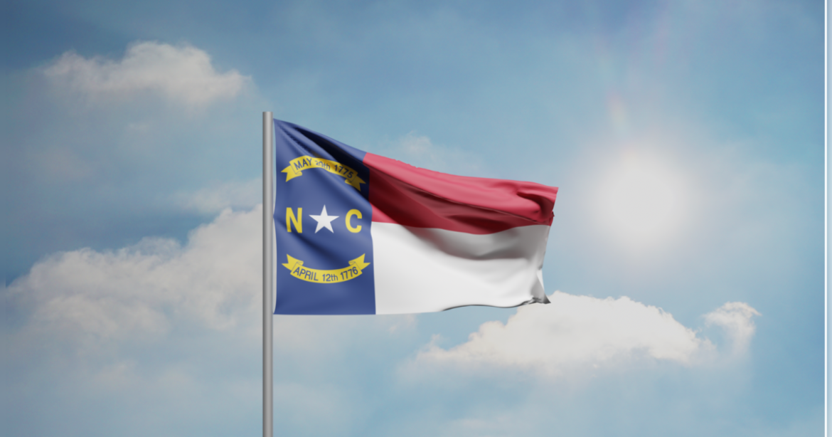 GOP Congressional Primary Candidate in NC Openly Admits She is a Fake Republican: “I am a Progressive”  (Video)