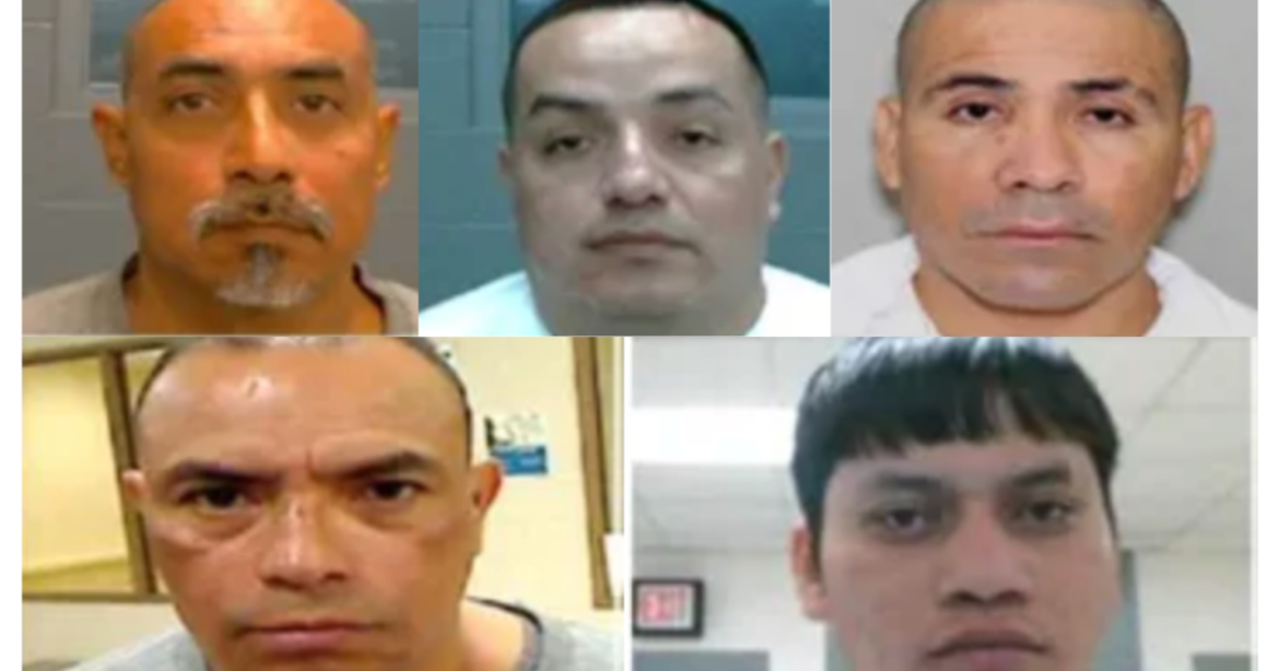 While Democrats Demonize ICE, Agency Removes More Violent Illegals from the Streets