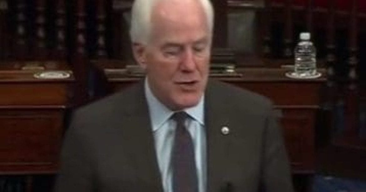 It’s Time to Remind President Trump That Senator John Cornyn Is Not MAGA – Not Even Close