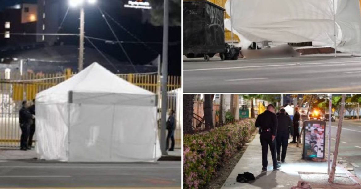 Horror in Los Angeles: Man Dies from Gruesome Self-Mutilation, Including Cutting Off His Own Penis, on Busy Downtown Street