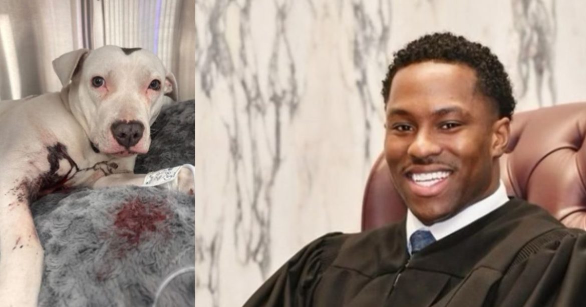 Youngest Judge in Pennsylvania History Under Investigation After Shooting 10-Month-Old Puppy That Got Loose While Family Was Searching for Her