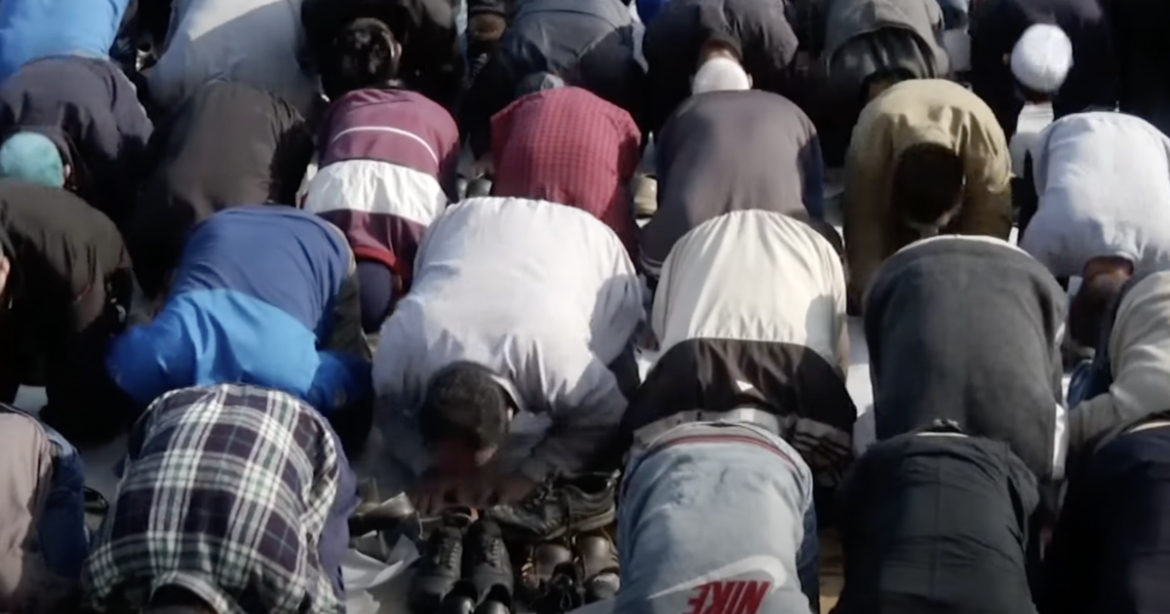 WAYNE ROOT: It’s Not “Racist” to Ask These Questions. It’s Necessary. How Many Muslims in America Are on Our Side? How Many are Here to Murder, Enslave and Conquer Us? What is Obama’s and Tucker’s Role in Dividing Our Nation?