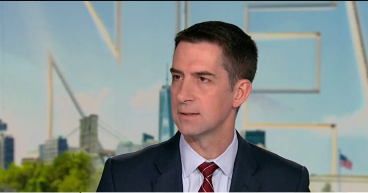 Senator Tom Cotton Blasts Democrats for Not Funding DHS – (VIDEO)