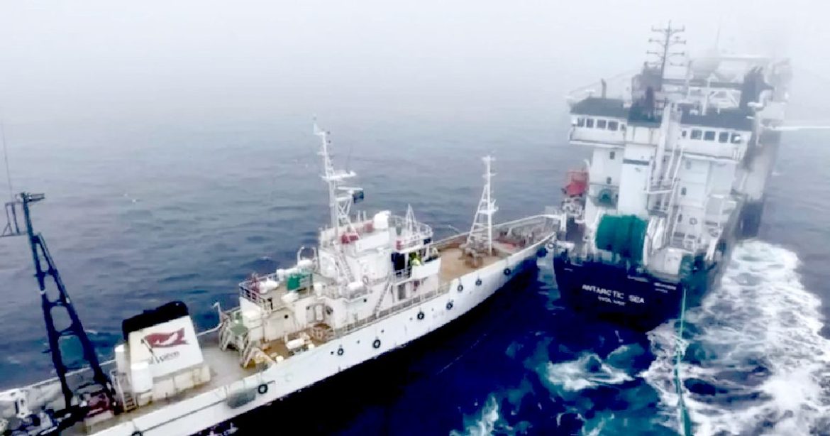 FISHING WARS: Environment Activists Ram Their Boat on Krill Trawler in ‘Deliberate Attack’, as Conflict Intensifies in the Frigid Antarctica Waters (VIDEO)