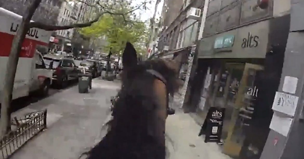Insane Bodycam Footage Shows NYPD Police Horse Chasing Down Lowlife Purse Snatcher (VIDEO)