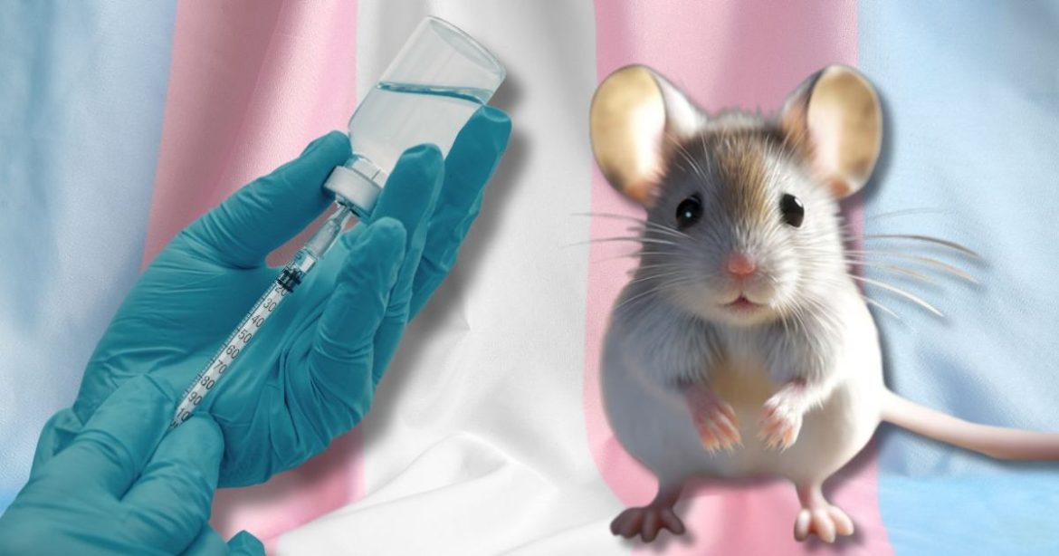 19 GOP Lawmakers Demand NIH Defund Transgender Animal Experiments After White Coat Waste Exposes Disturbing New $584K Taxpayer Grant