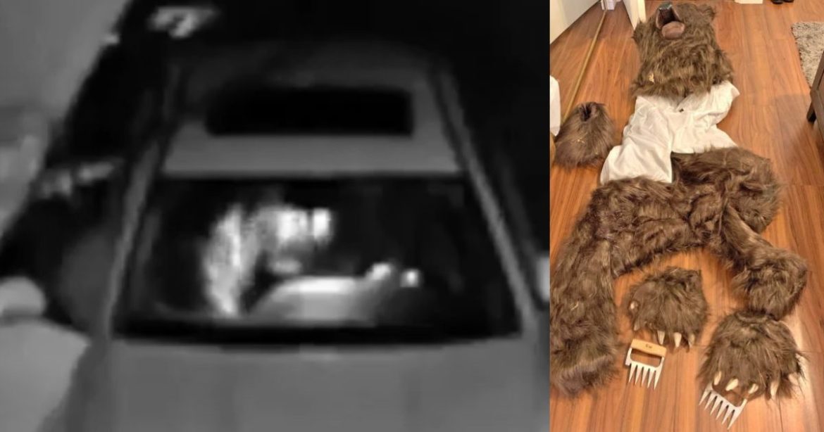 ‘Clearly a Human in a Bear Suit’: California Trio Jailed for Staging Fake Bear Attacks on Rolls-Royce and Mercedes in $142K Insurance Scam (VIDEO)