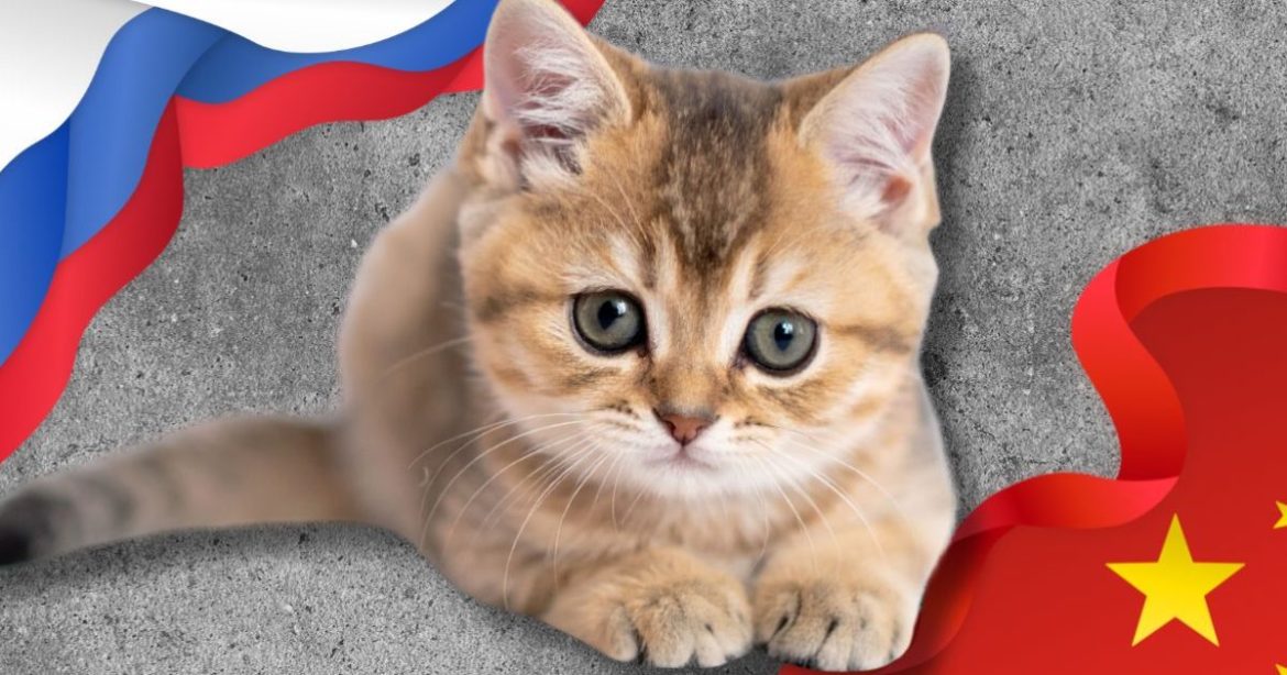 GOP-led Farm Bill Amendments Target Animal Tests in US, China, and Russia