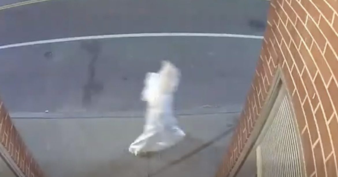 Rhode Island Police Launch Investigation After Video Shows Figure in Apparent KKK Robes Roaming Public Area