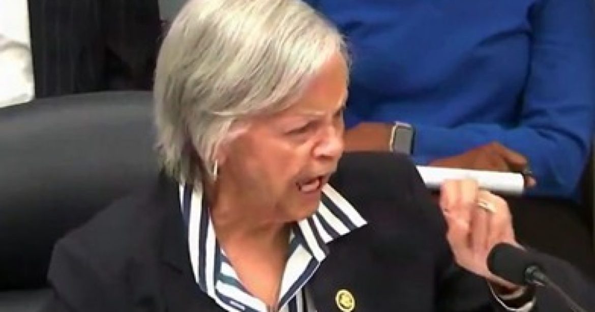 Unhinged Dem Congresswoman: “If We Wanted to Eliminate Abuse…We’d Eliminate the President of the United States From Office” (VIDEO)