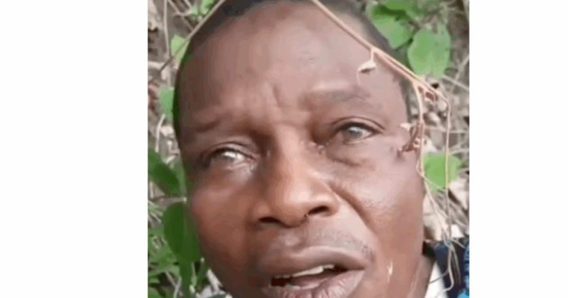 Teacher Beheaded in Nigeria as Widespread Muslim Violence Against Christians Escalates Horrifyingly