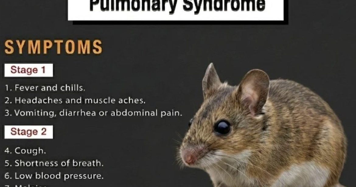 HANTAVIRUS: Are We on the Verge of Another Plandemic?